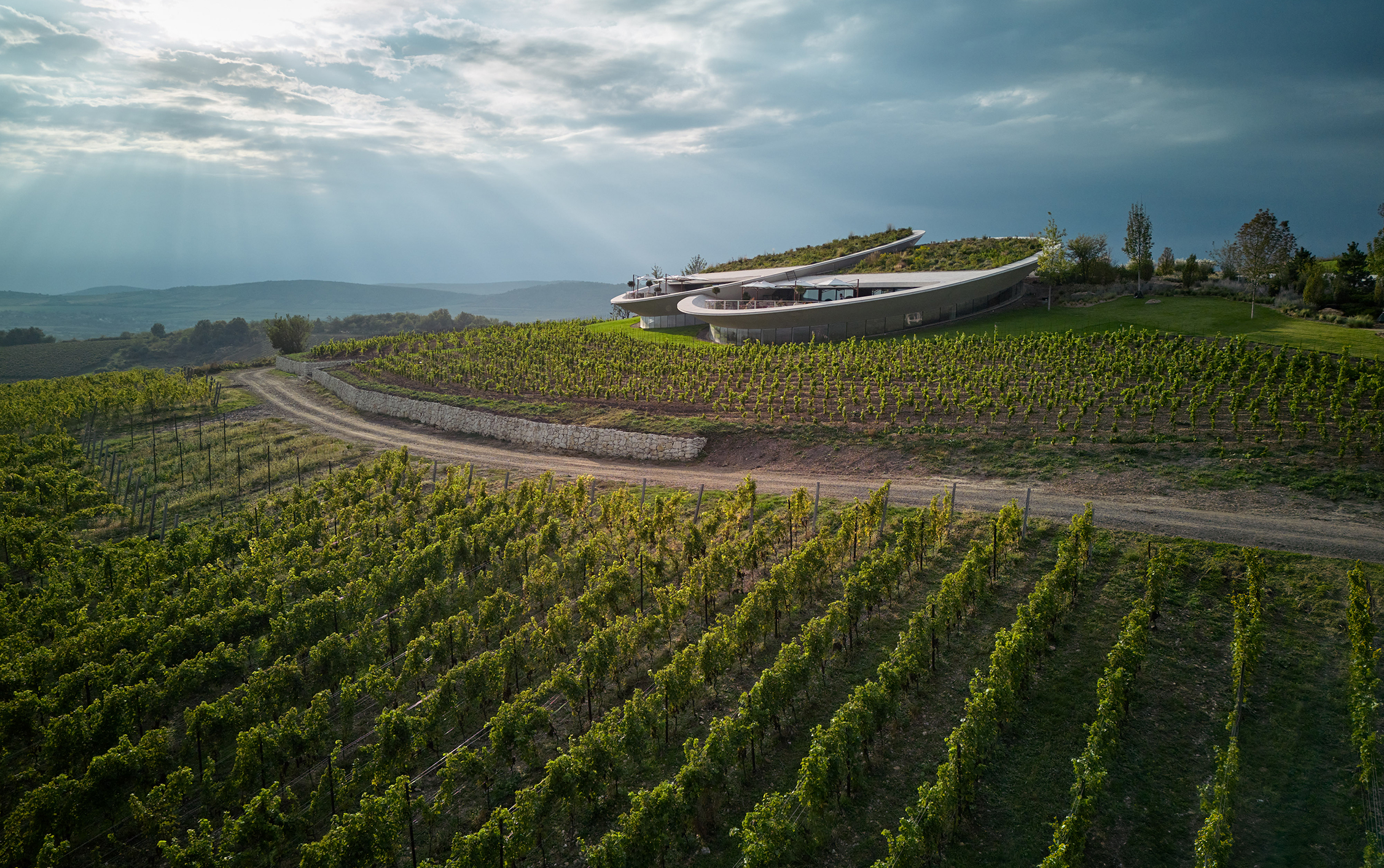 Sauska_Project–(6)